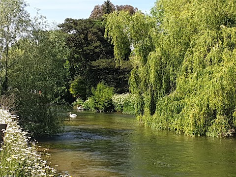 The Star Inn