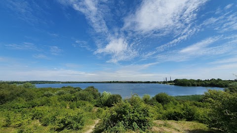 The Forest Centre & Millennium Country Park