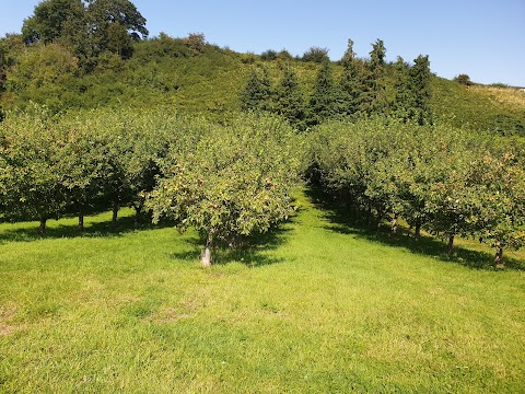 Torre Cider Farm