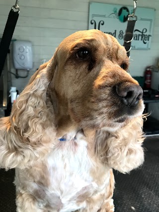 Hound and Barker dog grooming