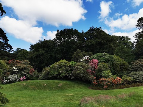 National Trust - Rowallane Garden