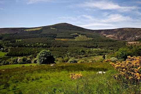 Knockree Youth Hostel