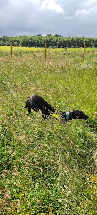 Inca's Trail Secure Dog Park