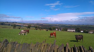 Windy Bank Hall - Certified Caravan Site