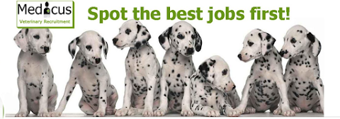 Medicus Veterinary Recruitment