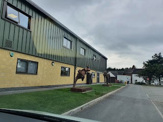 Pool House Equine Clinic