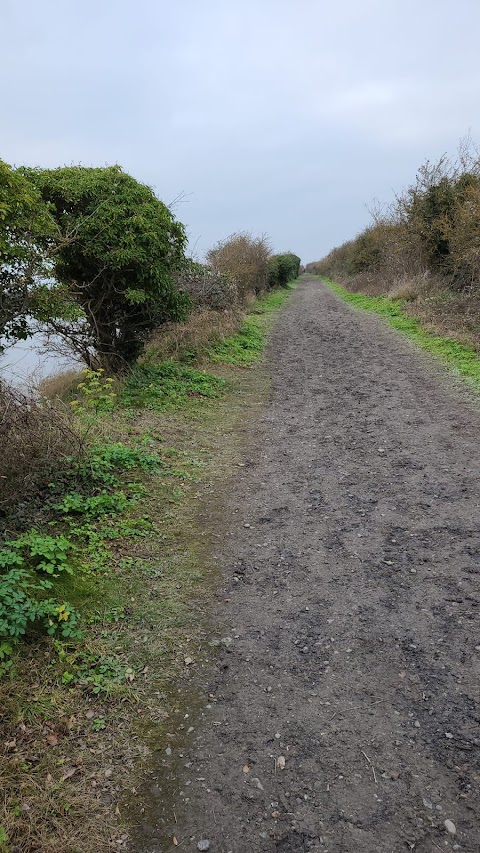 Cliffe Pools