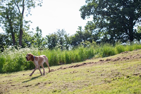 Earsham Park Farm Self Catering – book direct for our best rate.