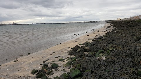 North Bull Island