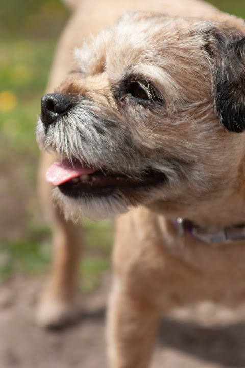 Sandbeck Veterinary Centre