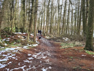 Thruscross Reservoir Car Park