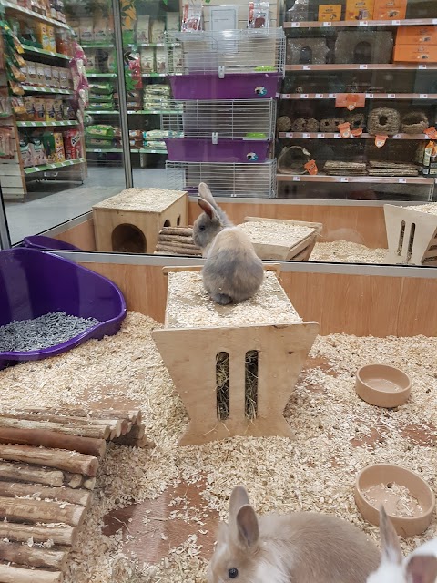 Pets at Home Walsall