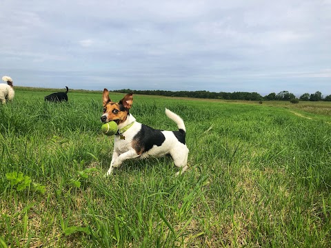 Happy Tails of East Lothian