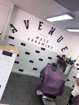 Avenue Male Grooming