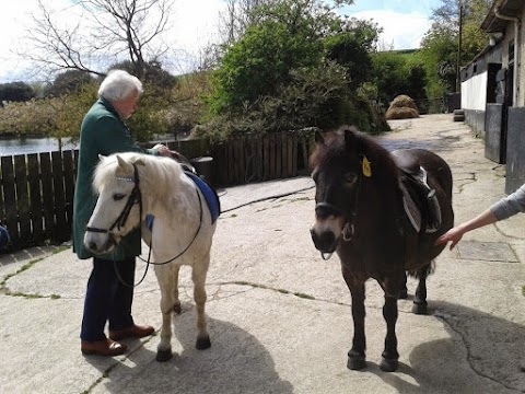 Nute Veterinary Surgery - Wadebridge