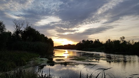 Садівниче товариство "ДРУЖБА" Завода Електроважмаш