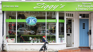 Ziggys Pet Supplies