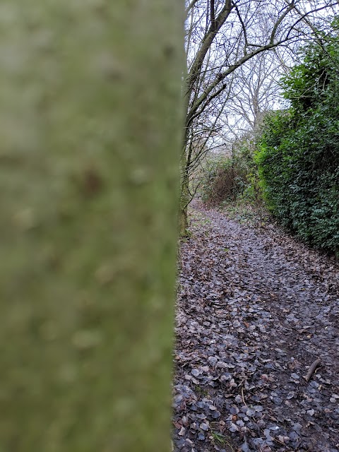 Crewe Vagrants Sports Club