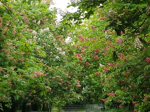 Darenth Country Park