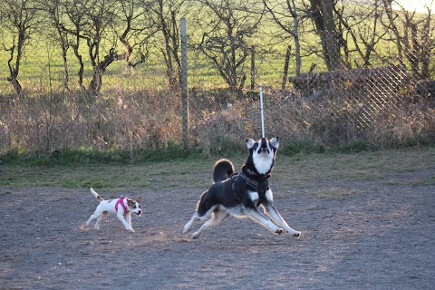 Run Free Dog Fields - Inchinnan