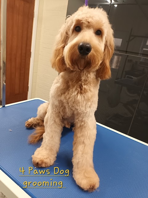 4 Paws dog grooming Quorn