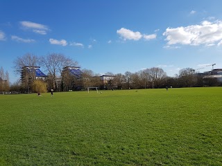 King's Meadow