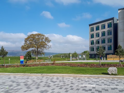 The Grange University Hospital