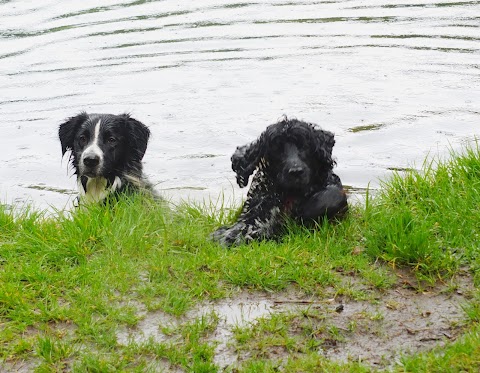 Walkies Scotland