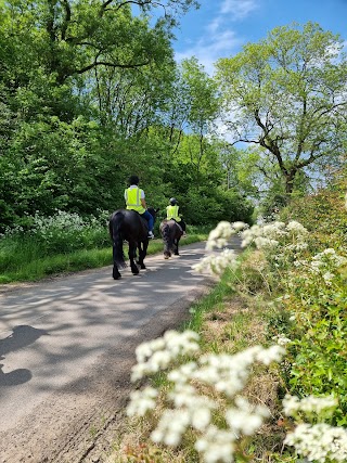 The Urban Equestrian Academy Ltd.