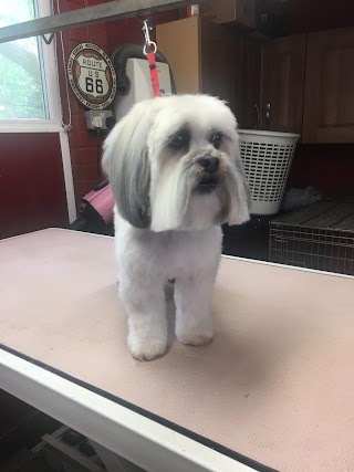 Julie's Dog Grooming