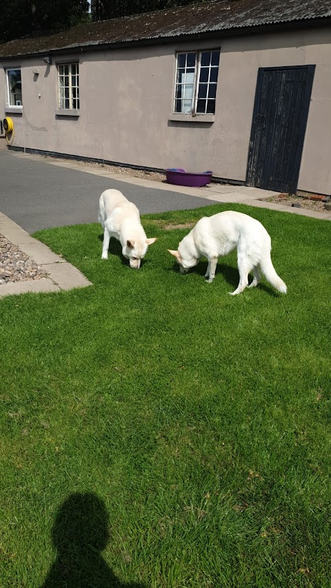 Heartland at Shardlow Boarding Kennels & Cattery