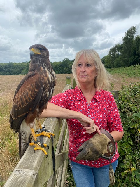 Huxley's Birds of Prey Centre and Gardens