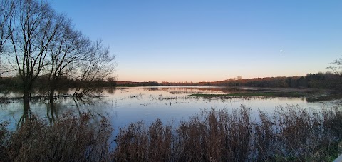 Ringland River Green