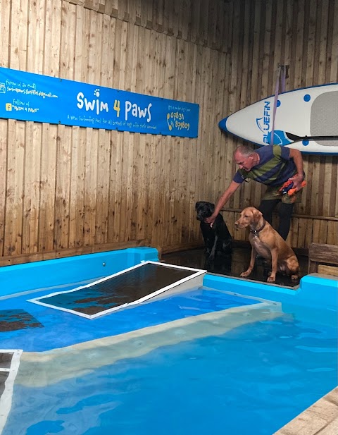 Swim 4 Paws