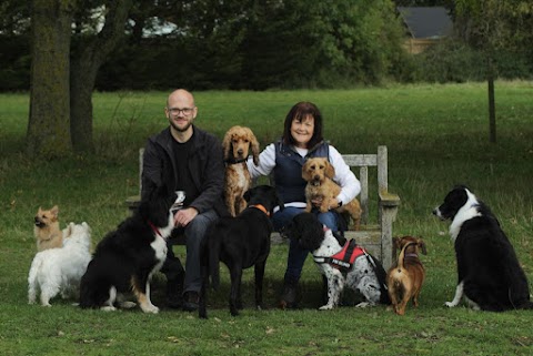 Lovin Paws Dog Walking & Boarding Arborfield & Winnersh