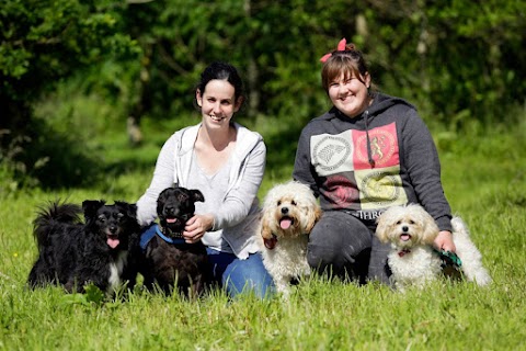 North Glassock Boarding Kennels & Cattery