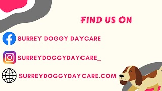Surrey Doggy Daycare & Pet Services