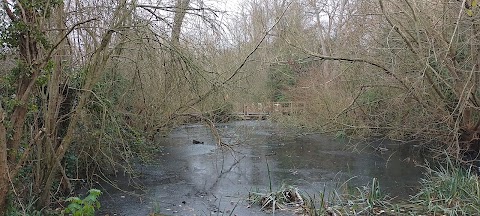 Attenborough Arboretum