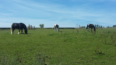 Grange Farm Feeds