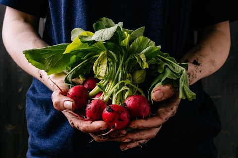 The Wellington Farm Shop