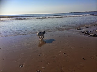 Tythegston Boarding Kennels