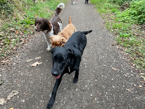 Wagnificent Walkies