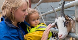 Adventure Farm Day Nursery & Pre-School