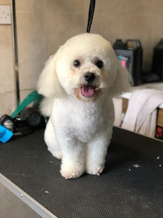 Million-Fur Dog Grooming