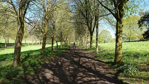 National Trust - Castle Ward