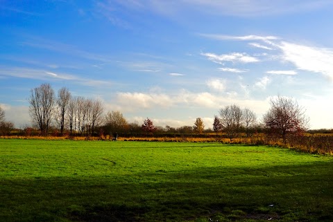 Kingfisher Country Park