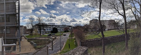 University of Aberdeen School of Medicine and Dentistry