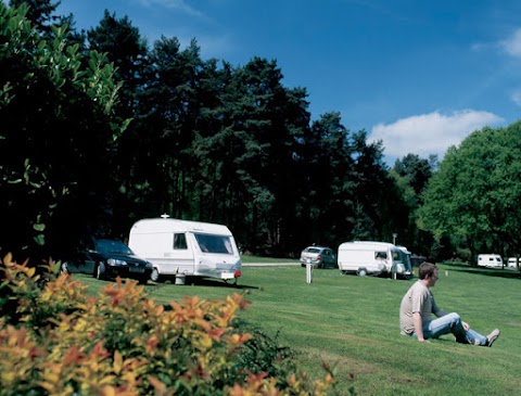 Cannock Chase Camping & Caravanning Club Site