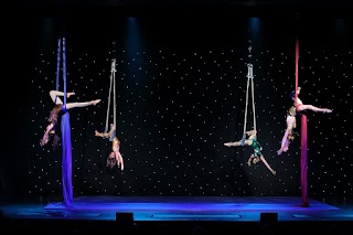 Little Stars Circus