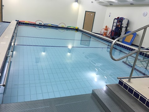 Mojo's Swim School